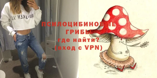 ГАЛЛЮЦИНОГЕННЫЕ ГРИБЫ Абдулино