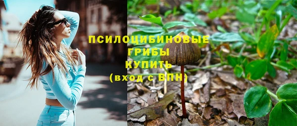 ГАЛЛЮЦИНОГЕННЫЕ ГРИБЫ Абдулино
